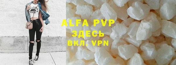 ешки Новозыбков