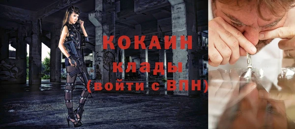 дживик Алзамай
