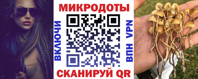 где купить   Находка  Галлюциногенные грибы мицелий 