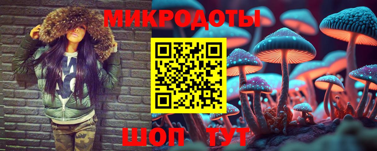 Псилоцибиновые грибы GOLDEN TEACHER Находка