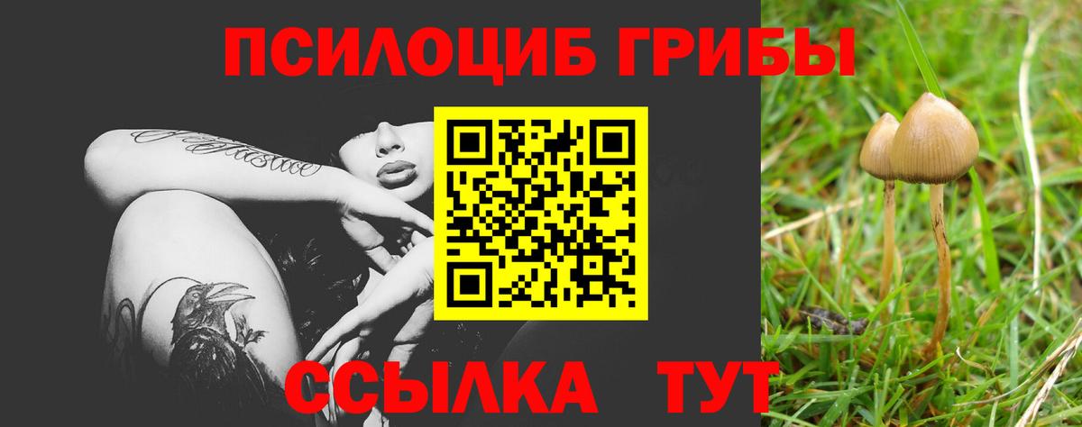 Находка  Галлюциногенные грибы Psilocybine cubensis  Вход с VPN  Галлюциногенные грибы мухоморы 