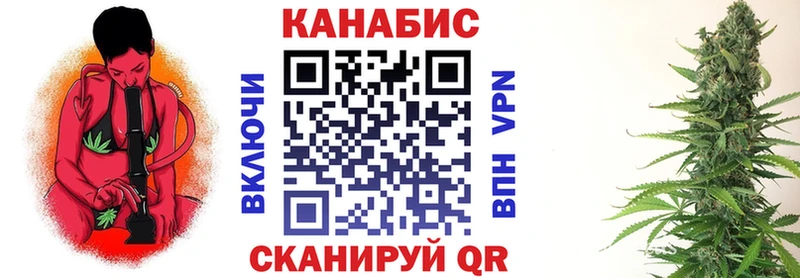Шишки марихуана сатива  купить закладку  Находка 